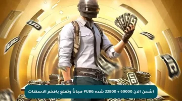 اشحن الآن 60000 + 22800 شدة PUBG مجاناً وتمتع بأفخم الأسكنات